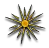geomitesIcon